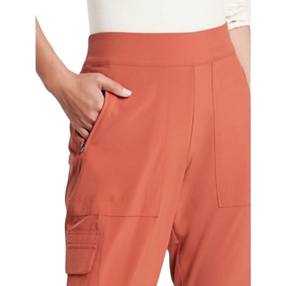 Athleta Chelsea Cargo Lined Elastic Waist Hiking Pant Sz 4 Tall Etruscan… - Picture 4 of 11